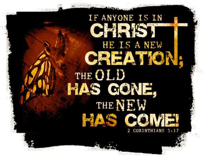 new-creation