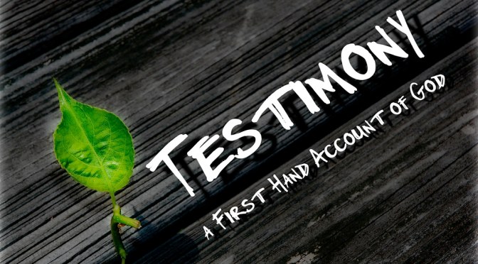 Cynthia’s Incredible Testimony